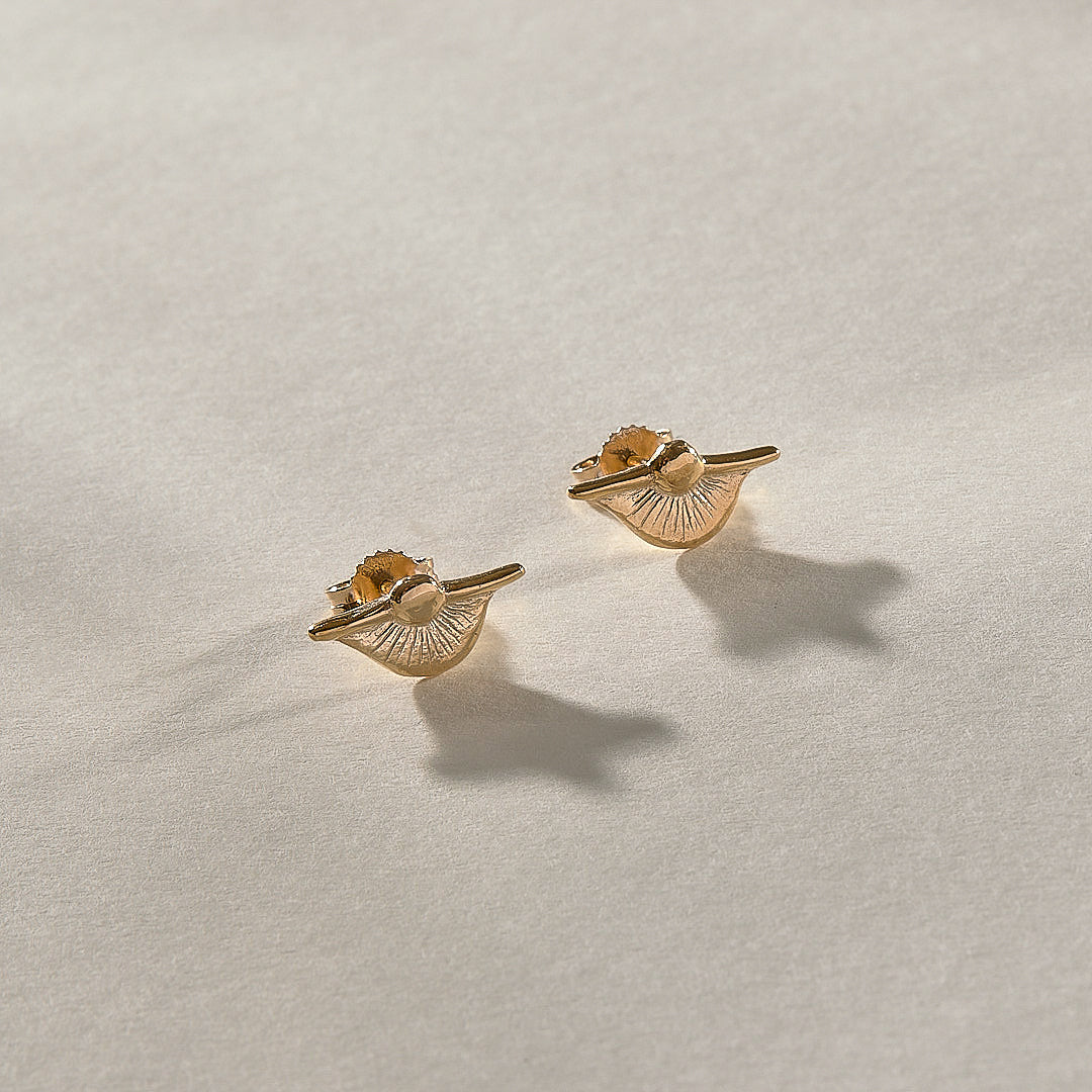 Magdalena Studs