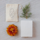 Celestial Gift Set | Bronze