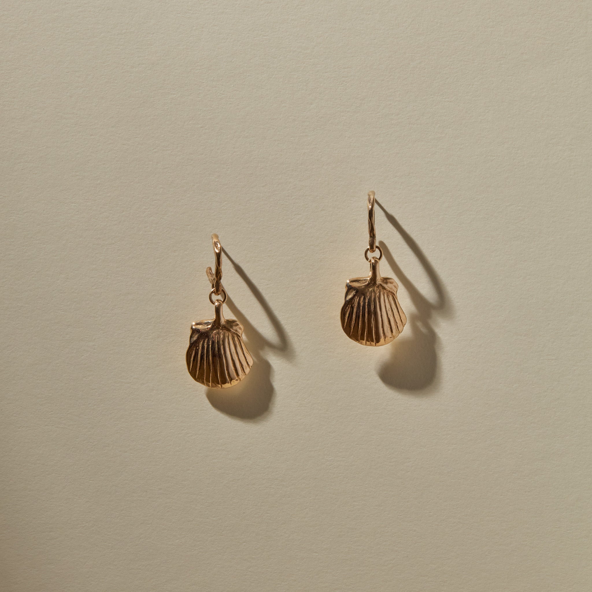 Elysian Shell Hoops | Bronze