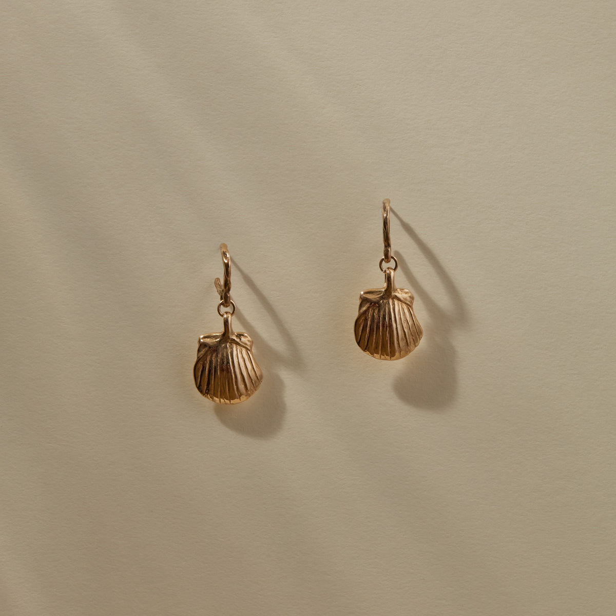 Elysian Shell Hoops