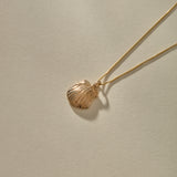 Elysian Shell Necklace | Bronze
