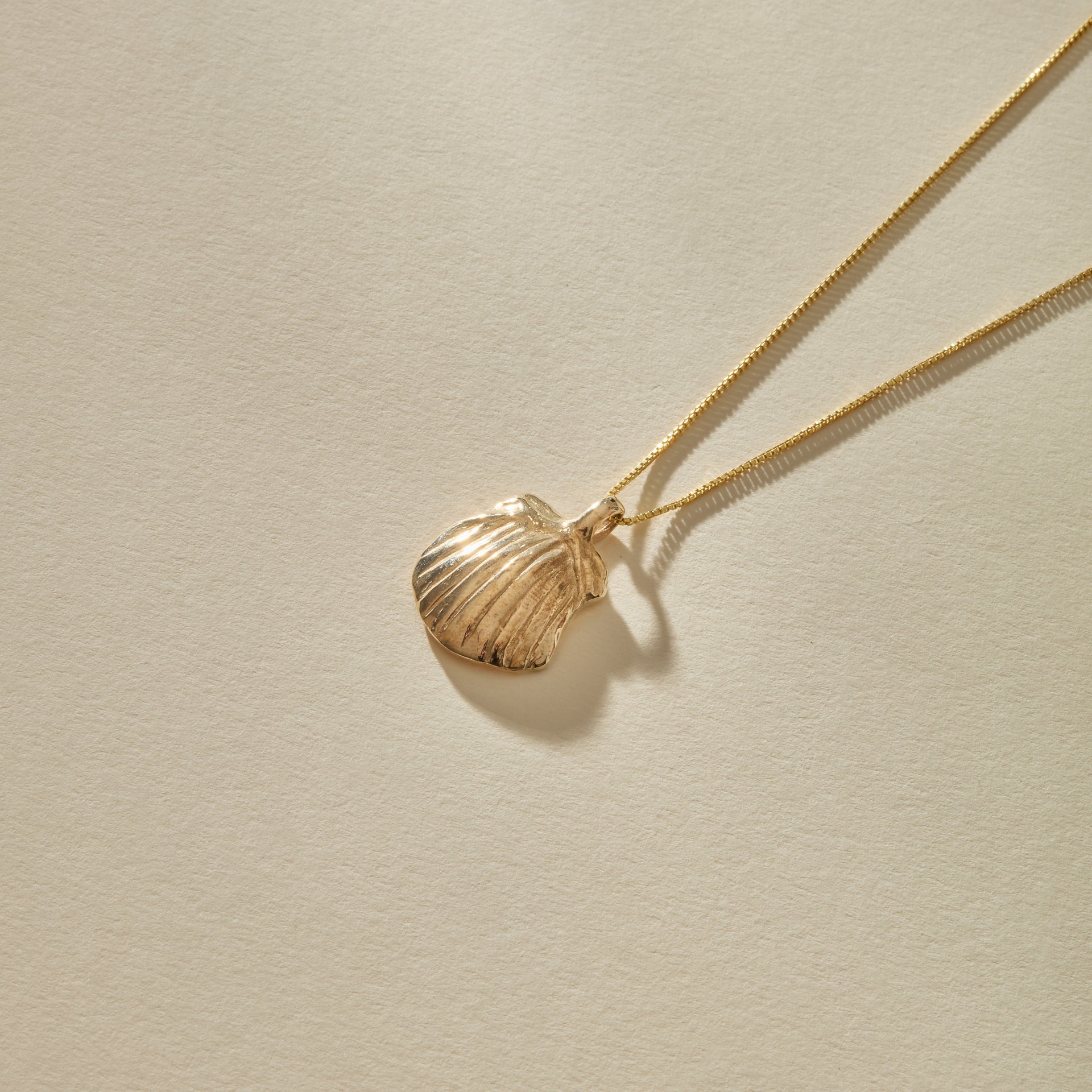 Elysian Shell Necklace