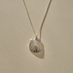 A silver shell pendant necklace with a textured, ribbed seashell design hanging from a delicate silver chain against a warm beige background.