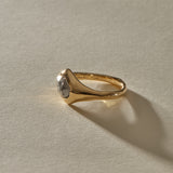 Vía Láctea II Polished Raw Salt and Pepper Diamond Signet Ring | Gold | OOAK