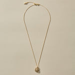 Full length of the Elysian Shell Necklace in gold on its adjustable chain.