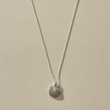 Elysian Shell Necklace in sterling silver, the scallop shell pendant hanging from its box chain.