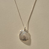 Elysian Shell Necklace in recycled sterling silver, a cast scallop shell pendant on a fine box chain.