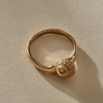 Maré Shell Ring in bronze from above, the shell’s spiral opening sitting low on the band.