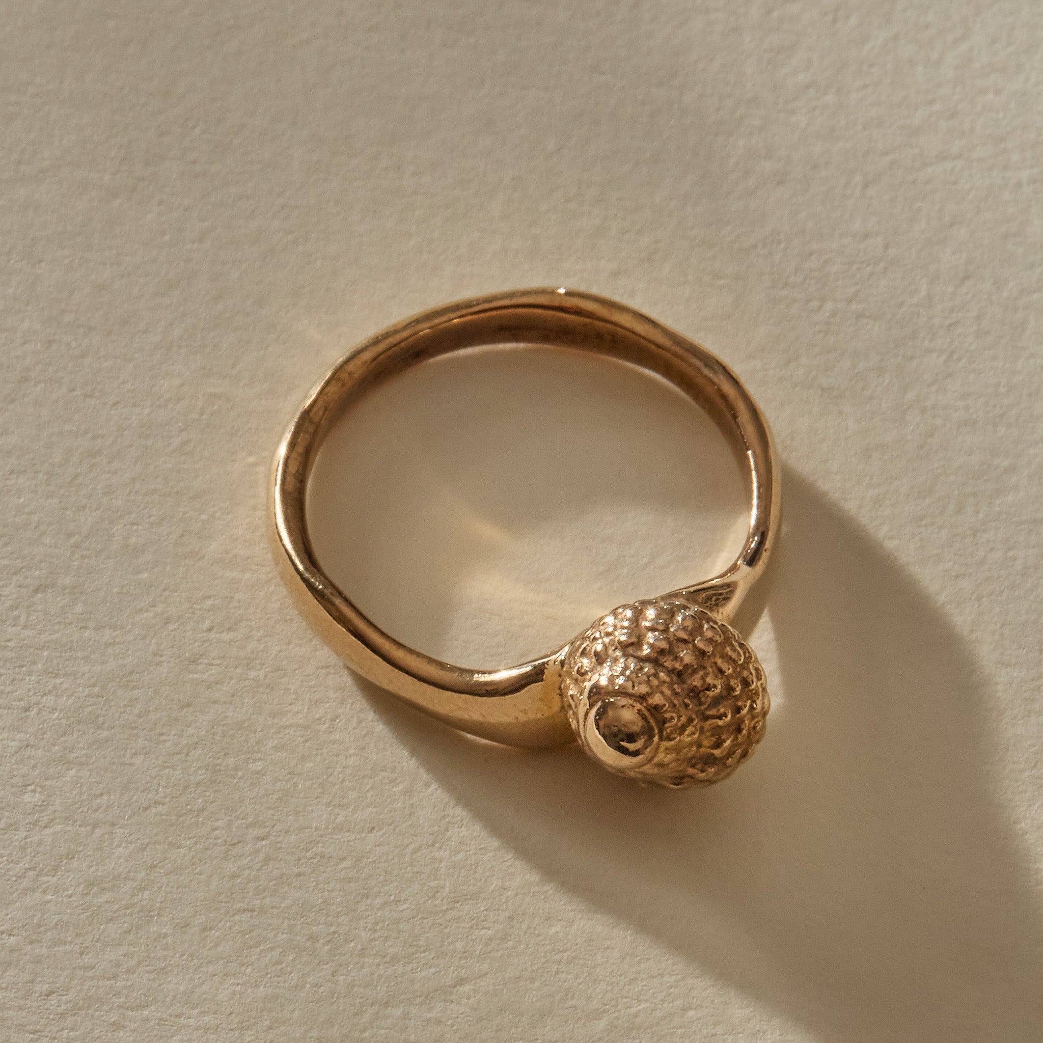 Maré Shell Ring in bronze from above, the shell’s spiral opening sitting low on the band.