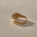 Neptune Spiral Shell Ring in bronze from the back, showing the smooth tapered band.
