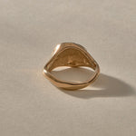 Neptune Spiral Shell Ring in bronze, the organic band seen from the side.