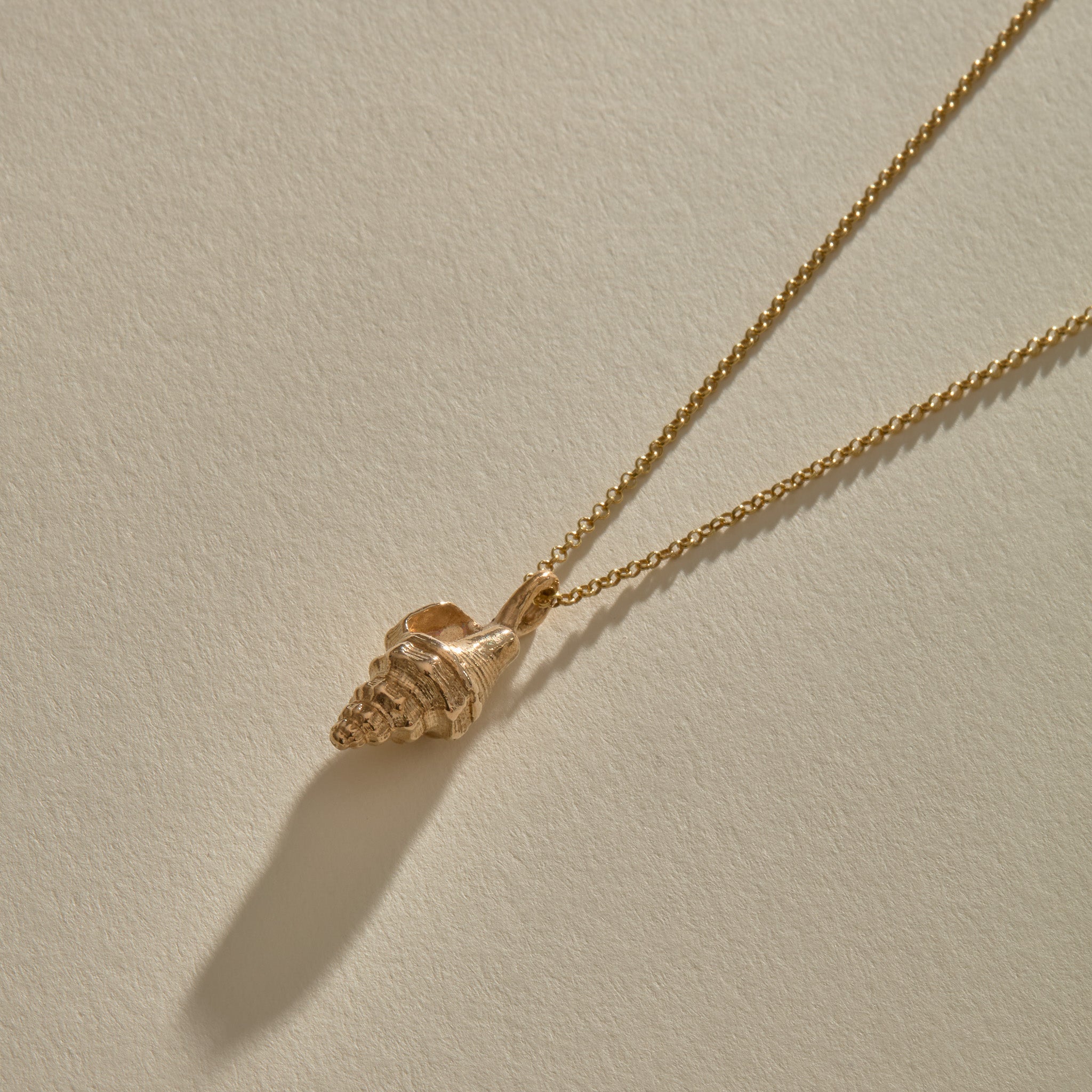Sereia Spiral Shell Necklace in bronze, the shell pendant lying on its rolo chain.