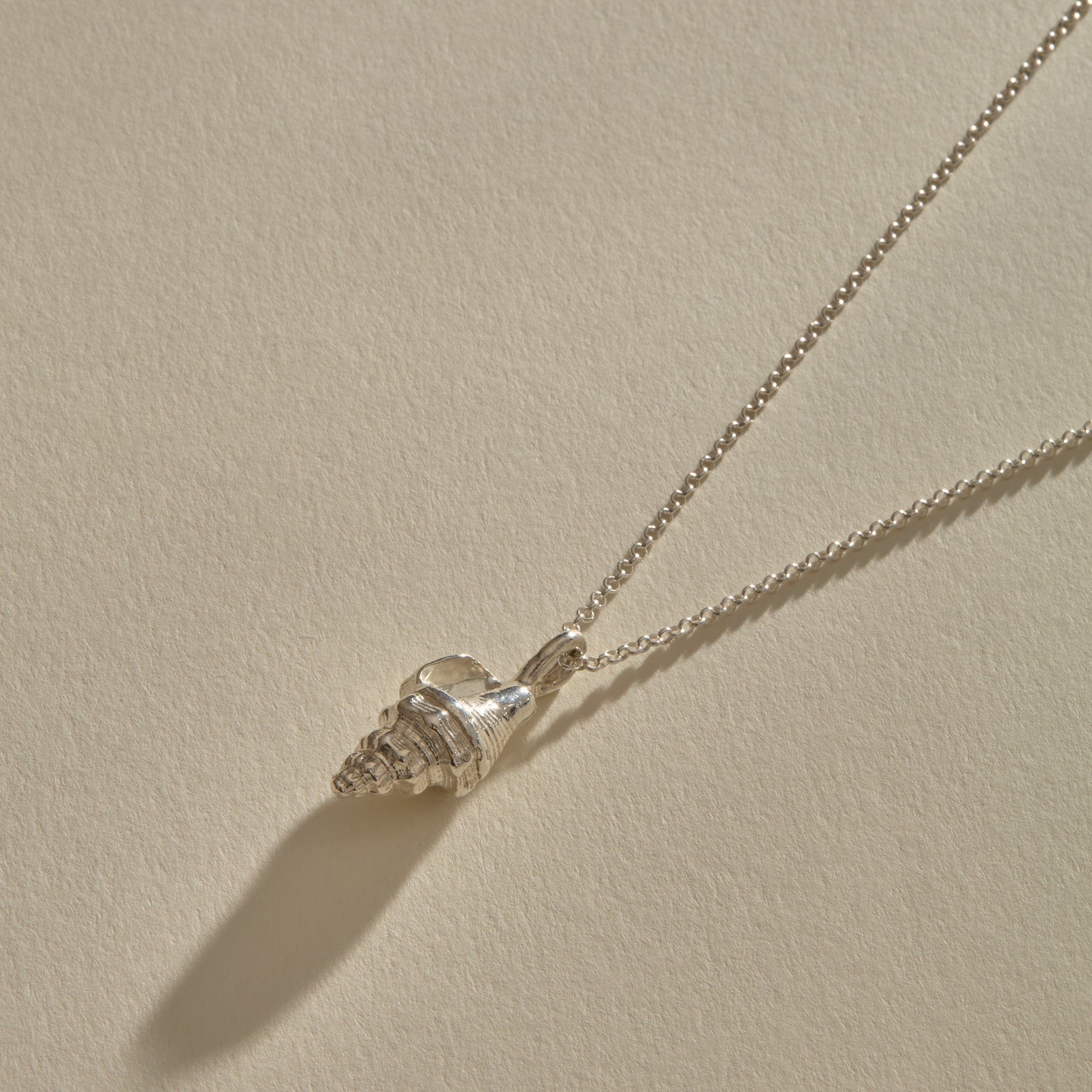 Sereia Spiral Shell Necklace in sterling silver, the shell pendant lying on its rolo chain.