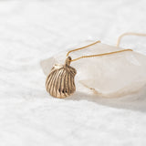 Elysian Shell Necklace pendant resting on a quartz crystal.